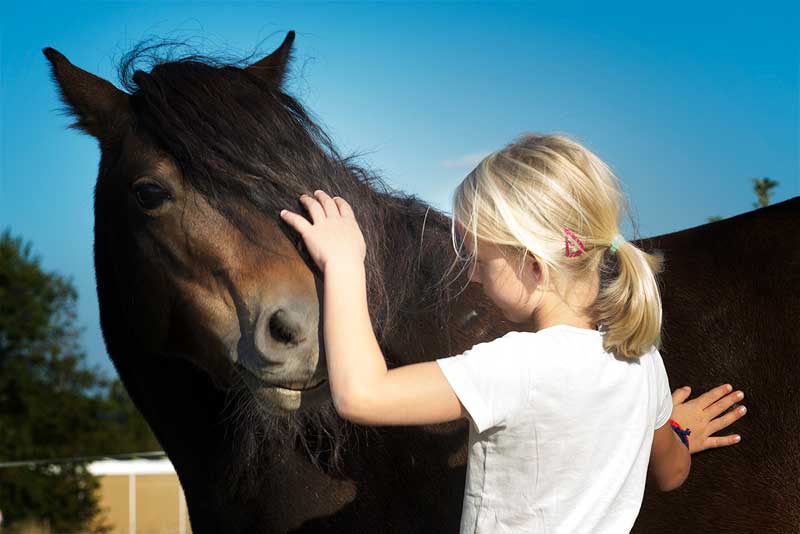 Pony wird von Kind gestreichelt